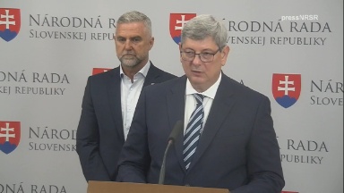 Mimoriadna schôdza