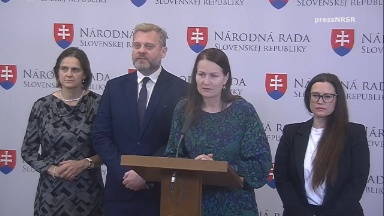 SaS: Aktuálna politická situácia