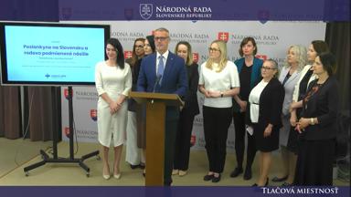 Predstavenie výsledkov výskumu o rodovo podmienenom násilí páchanom na političkách na Slovensku, prezentované organizáciou Možnosť voľby
